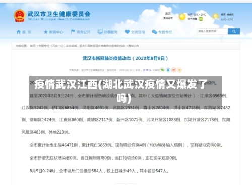疫情武汉江西(湖北武汉疫情又爆发了吗)