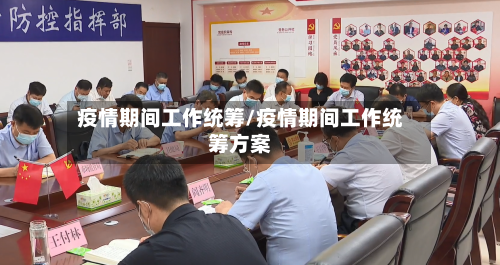 疫情期间工作统筹/疫情期间工作统筹方案