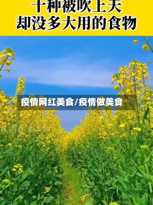 疫情网红美食/疫情做美食-第2张图片