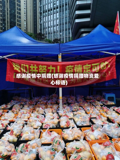 感谢疫情中捐赠(感谢疫情捐赠物资爱心标语)-第2张图片