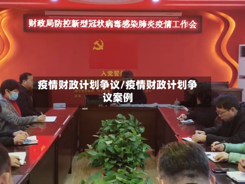 疫情财政计划争议/疫情财政计划争议案例