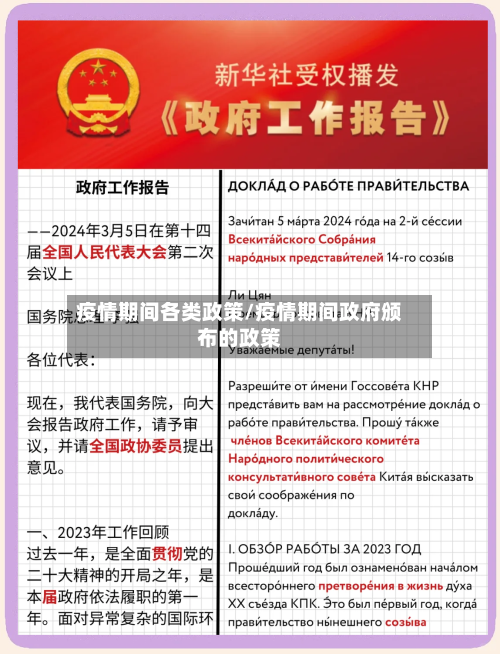 疫情期间各类政策/疫情期间政府颁布的政策