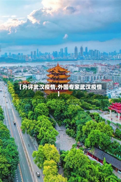 【外评武汉疫情,外国专家武汉疫情】