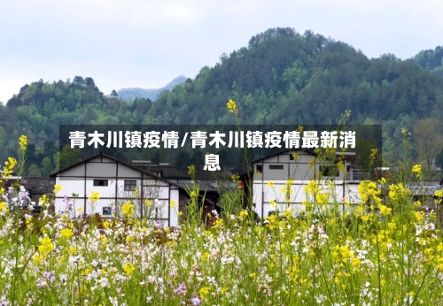 青木川镇疫情/青木川镇疫情最新消息-第3张图片