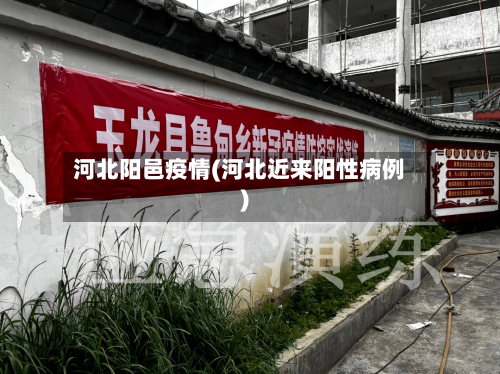 河北阳邑疫情(河北近来阳性病例)