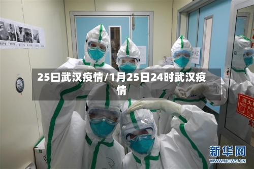 25曰武汉疫情/1月25日24时武汉疫情