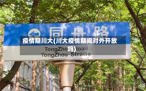 疫情期川大(川大疫情期间对外开放吗)-第3张图片