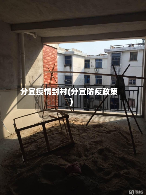 分宜疫情封村(分宜防疫政策)-第2张图片