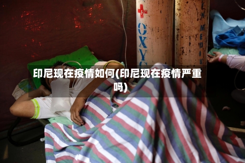 印尼现在疫情如何(印尼现在疫情严重吗)-第3张图片