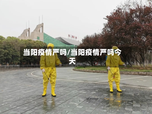 当阳疫情严吗/当阳疫情严吗今天