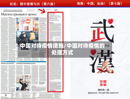 中国对待疫情措施/中国对待疫情的处理方式
