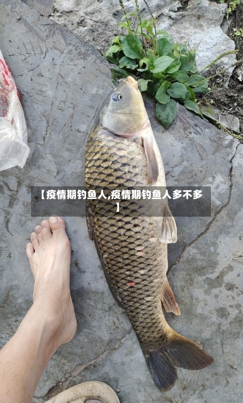 【疫情期钓鱼人,疫情期钓鱼人多不多】-第2张图片