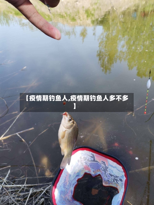 【疫情期钓鱼人,疫情期钓鱼人多不多】