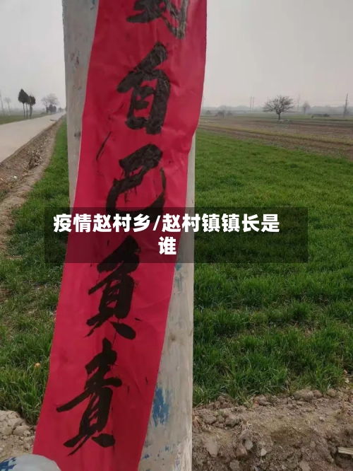 疫情赵村乡/赵村镇镇长是谁-第3张图片