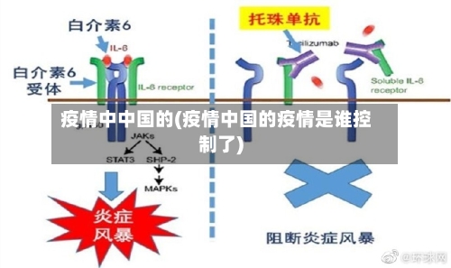 疫情中中国的(疫情中国的疫情是谁控制了)