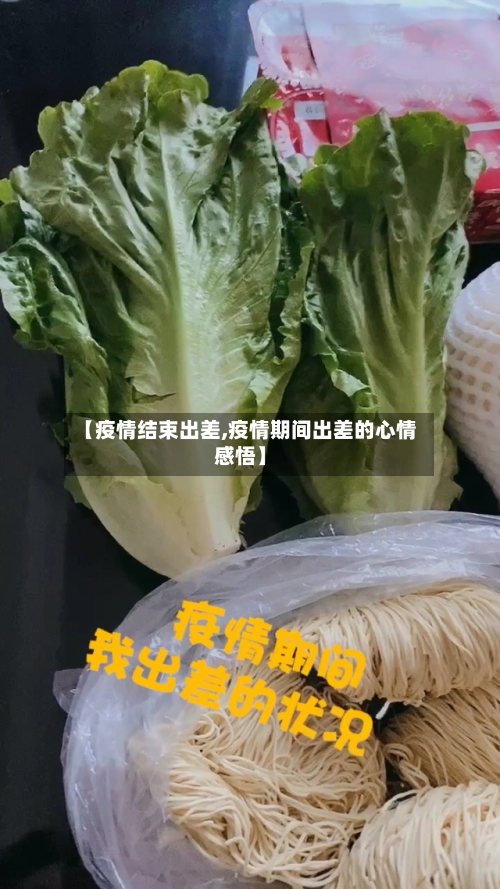 【疫情结束出差,疫情期间出差的心情感悟】