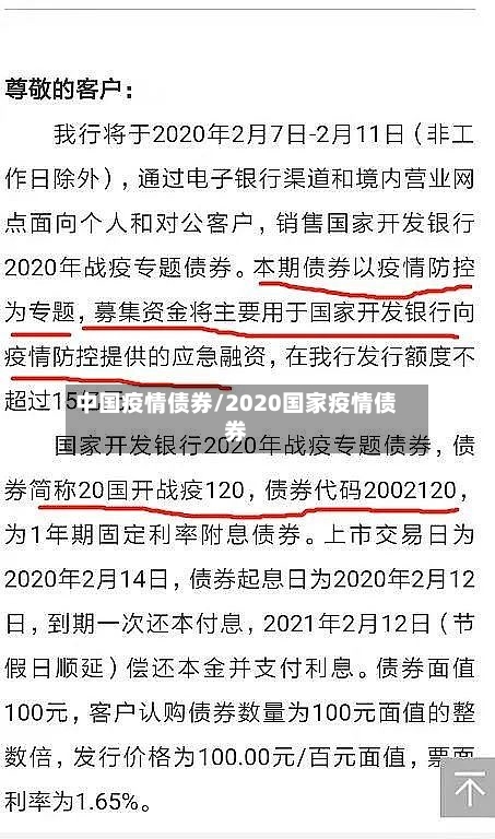 中国疫情债券/2020国家疫情债券-第3张图片