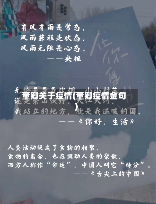 董卿关于疫情(董卿疫情金句)-第2张图片