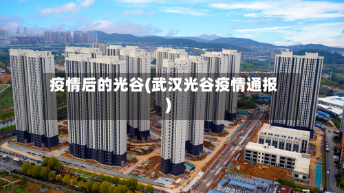 疫情后的光谷(武汉光谷疫情通报)-第2张图片