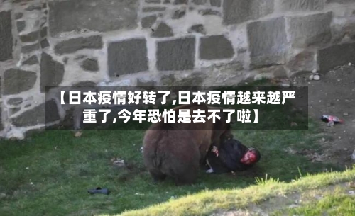 【日本疫情好转了,日本疫情越来越严重了,今年恐怕是去不了啦】
