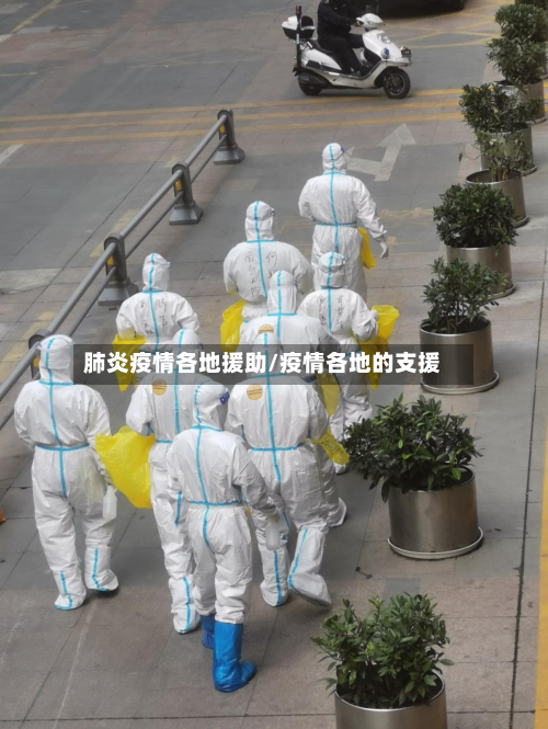 肺炎疫情各地援助/疫情各地的支援