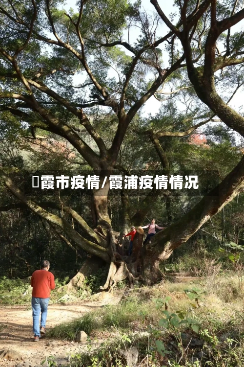 梄霞市疫情/霞浦疫情情况-第2张图片