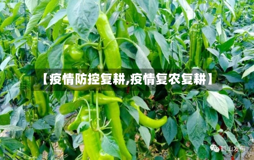 【疫情防控复耕,疫情复农复耕】-第2张图片