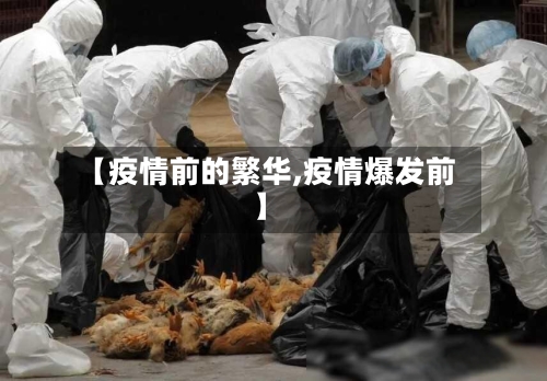 【疫情前的繁华,疫情爆发前】-第2张图片