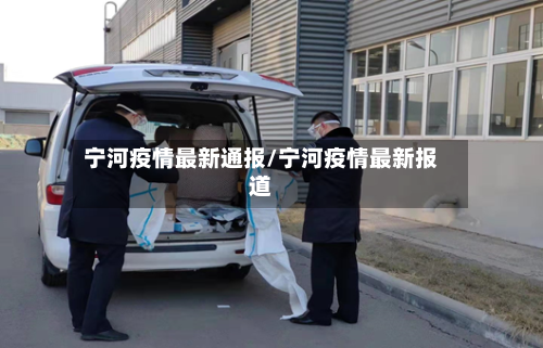 宁河疫情最新通报/宁河疫情最新报道-第2张图片