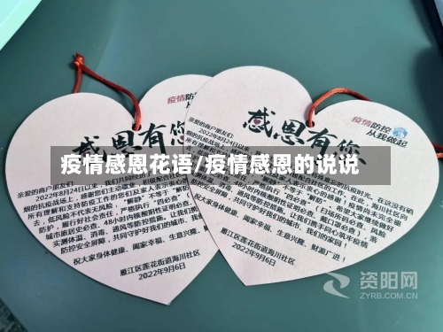 疫情感恩花语/疫情感恩的说说-第2张图片