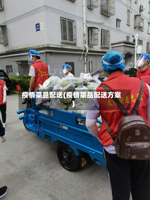 疫情菜品配送(疫情菜品配送方案)