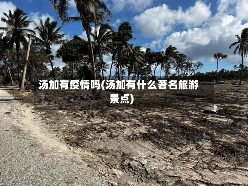 汤加有疫情吗(汤加有什么著名旅游景点)