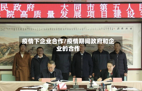 疫情下企业合作/疫情期间政府和企业的合作