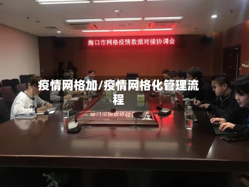 疫情网格加/疫情网格化管理流程