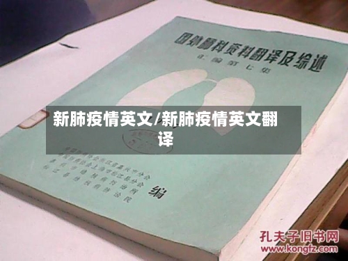新肺疫情英文/新肺疫情英文翻译-第2张图片