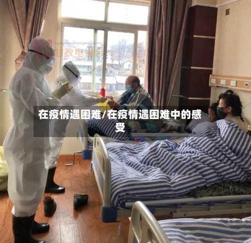 在疫情遇困难/在疫情遇困难中的感受-第2张图片