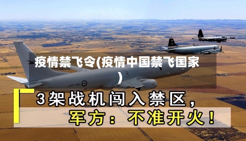疫情禁飞令(疫情中国禁飞国家)