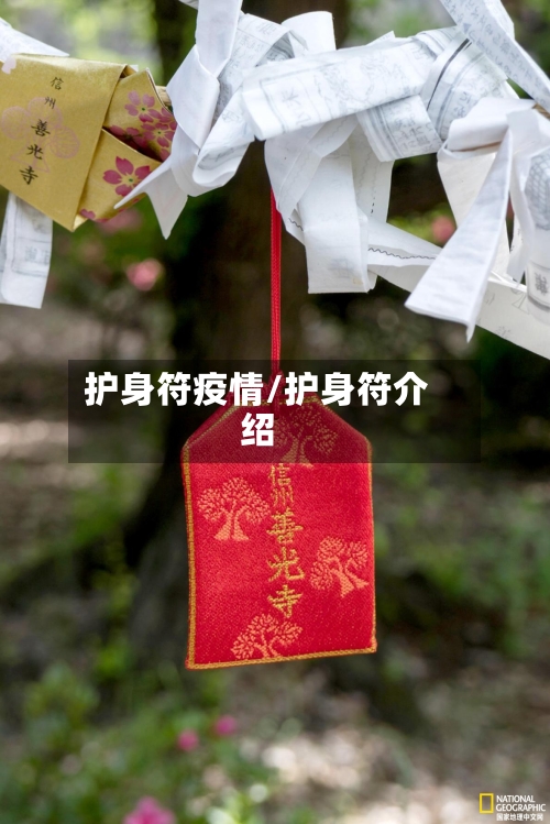 护身符疫情/护身符介绍-第2张图片