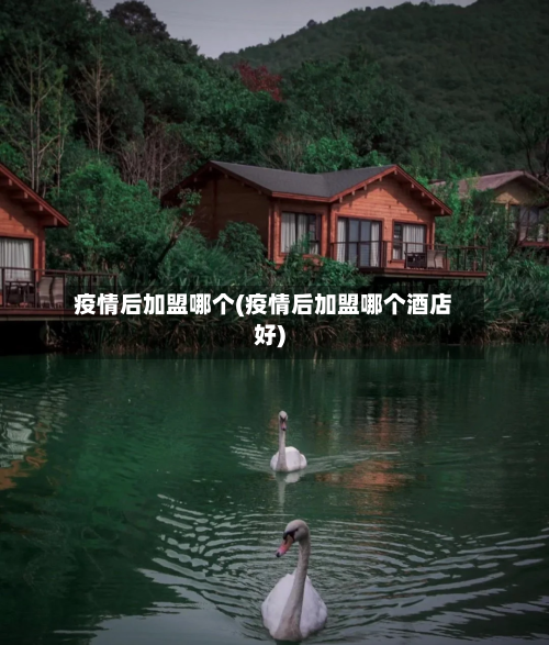 疫情后加盟哪个(疫情后加盟哪个酒店好)-第2张图片