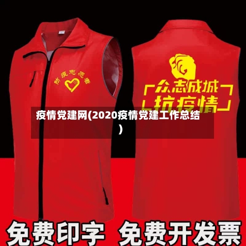 疫情党建网(2020疫情党建工作总结)-第2张图片