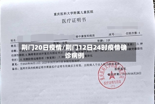 荆门20日疫情/荆门12日24时疫情确诊病例