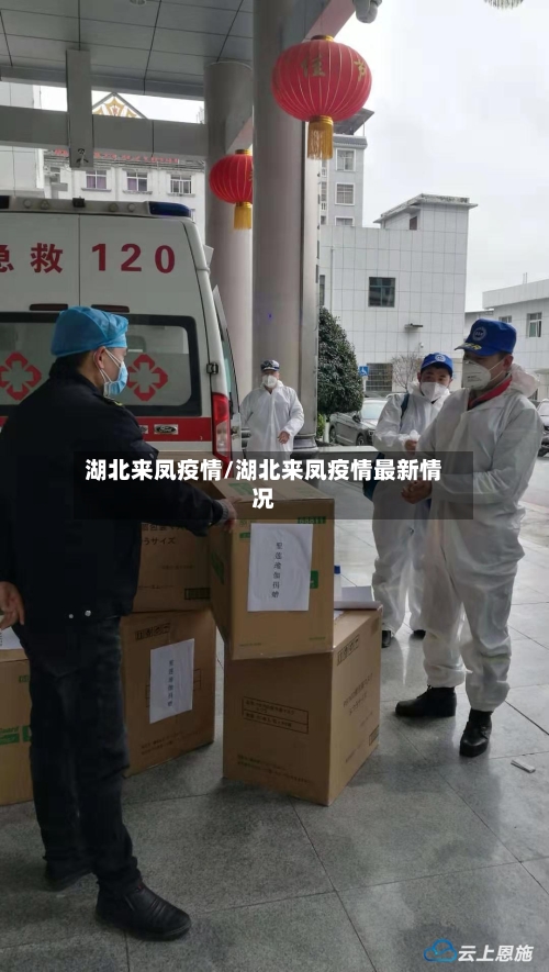 湖北来凤疫情/湖北来凤疫情最新情况-第3张图片