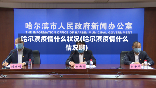 哈尔滨疫情什么状况(哈尔滨疫情什么情况啊)-第2张图片