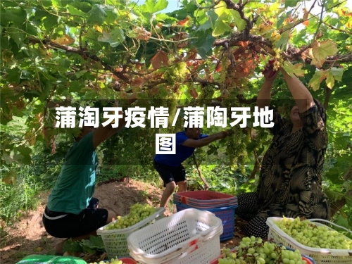 蒲淘牙疫情/蒲陶牙地图-第2张图片