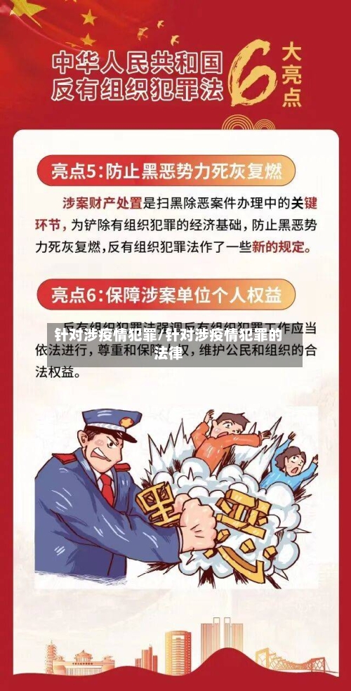 针对涉疫情犯罪/针对涉疫情犯罪的法律