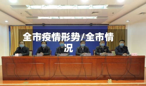 全市疫情形势/全市情况