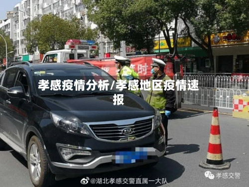 孝感疫情分析/孝感地区疫情速报-第2张图片
