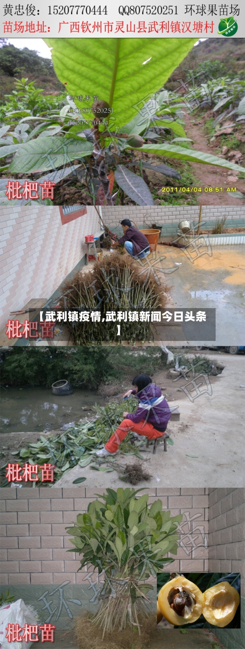 【武利镇疫情,武利镇新闻今日头条】-第2张图片