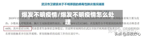 爆发不明疫情/爆发不明疫情怎么处理