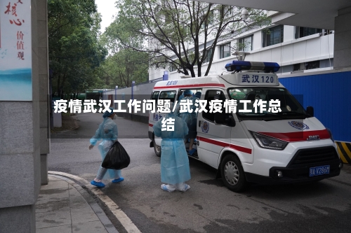 疫情武汉工作问题/武汉疫情工作总结
